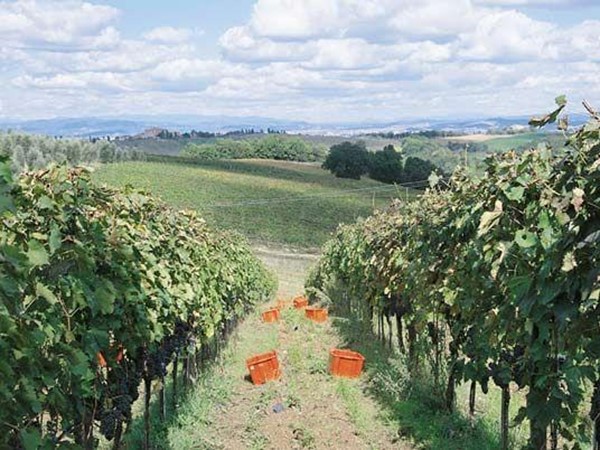 Casa Semi Indipendente in Vendita a Castelnuovo Berardenga, zona Ponte a Bozzone, 340'000€, 120 m², con Box