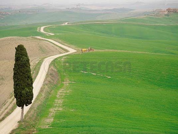 Trilocale in Affitto a Siena, zona Casetta, 700€, 80 m², arredato