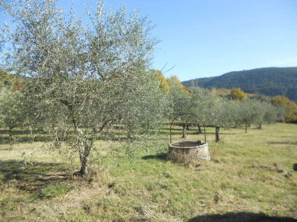 Terreno agricolo in Vendita a Murlo, zona Periferia, 75'000€, 32640 m²