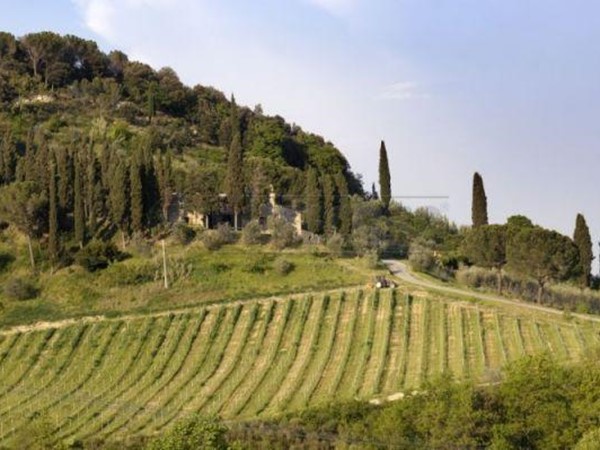 Casale in Vendita a San Gimignano, zona Periferia, 5'200'000€, 660 m², arredato