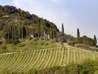 Casale in Vendita a San Gimignano, zona Periferia, 5'200'000€, 660 m², arredato