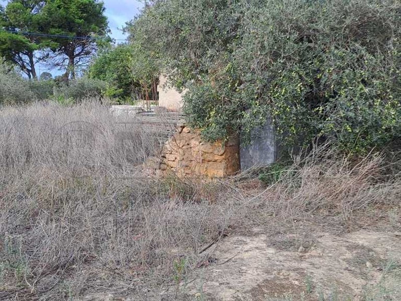 Terreno agricolo in Vendita a Marsala, 35'000&euro;, 