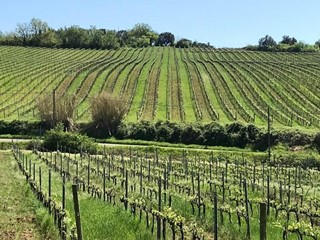 Villa in Vendita a Casciana Terme Lari, 3'000'000€, 1700 m², con Box