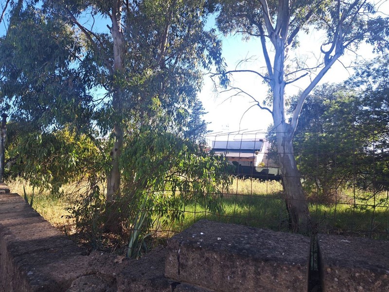 Terreno agricolo in Affitto a Fiumicino, 1'100€, 900 m²