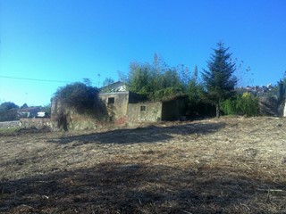 Terreno edificabile in Vendita a Luni, 300'000€, 7000 m²