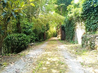 Casa Indipendente in Vendita a Camaiore, 230'000&euro;, 600 m²