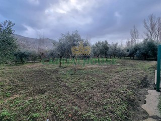 Terreno agricolo in Affitto a Maddaloni, 500€, 2000 m²