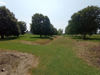 Terreno edificabile in Vendita a Cavarzere, 85'000&euro;, 8850 m²