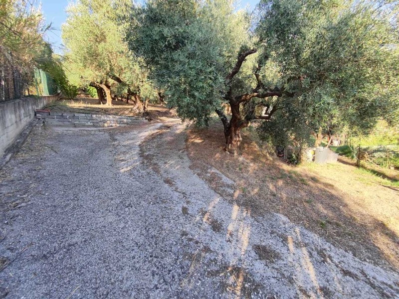 Terreno agricolo in Vendita a Marcellina, 37'000&euro;, 5000 m²