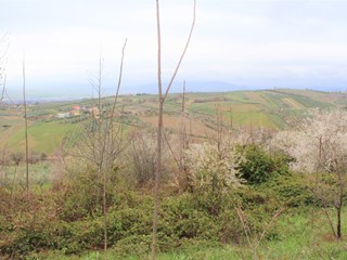 Terreno agricolo in Vendita a Mozzagrogna, 12'000€, 8000 m²