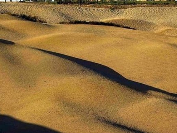 Terreno agricolo in Vendita a Asciano, 1'600'000€, 1100000 m²