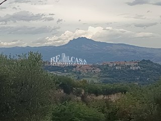 Rustico in Vendita a Folignano, 45'000€, 150 m²