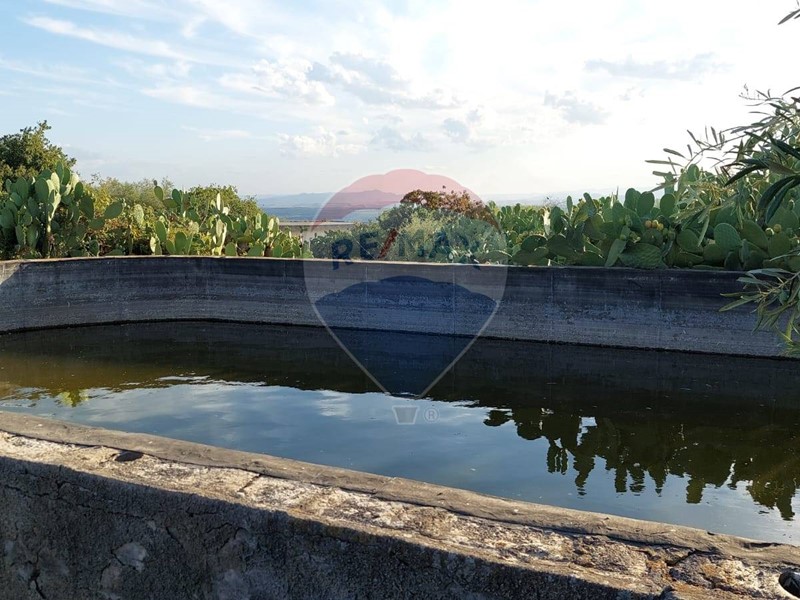 Terreno agricolo in Vendita a Paternò, 180'000€, 25699 m²