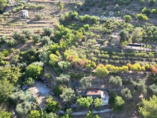 Terreno agricolo in Vendita a San Biagio della Cima, 75'000€, 100 m²