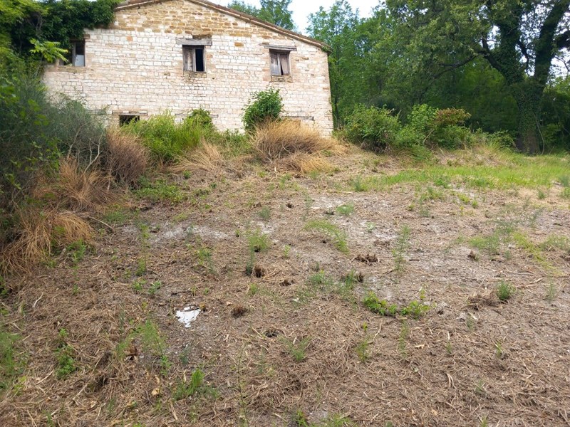 Rustico in Vendita a Arcevia, zona PROSANO, 30'000€, 75 m²
