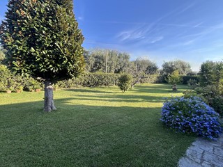 Villa in Vendita a Seravezza, zona Querceta, 720'000€, 200 m², arredato