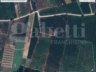 Terreno agricolo in Vendita a Corchiano, 85'000€, 23300 m²