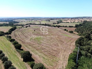Terreno agricolo in Vendita a Tuscania, 235'000€, 230000 m²