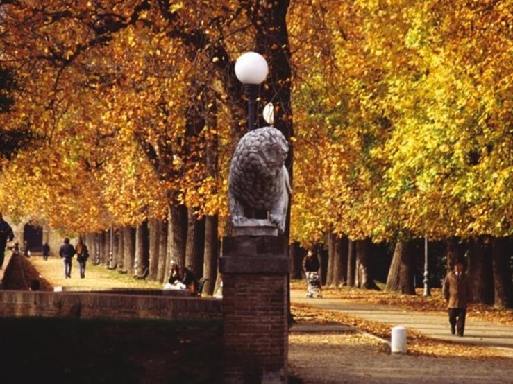 Attività commerciale in Vendita a Lucca, zona Centro Storico, 640'000€, 200 m²