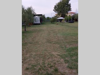 Terreno agricolo in Vendita a Collesalvetti, zona Stagno, 60'000&euro;, 2000 m²