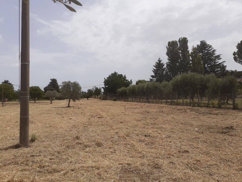 Terreno agricolo in Vendita a Viterbo, 47'000€, 11660 m²