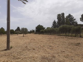 Terreno agricolo in Vendita a Viterbo, 47'000€, 11660 m²