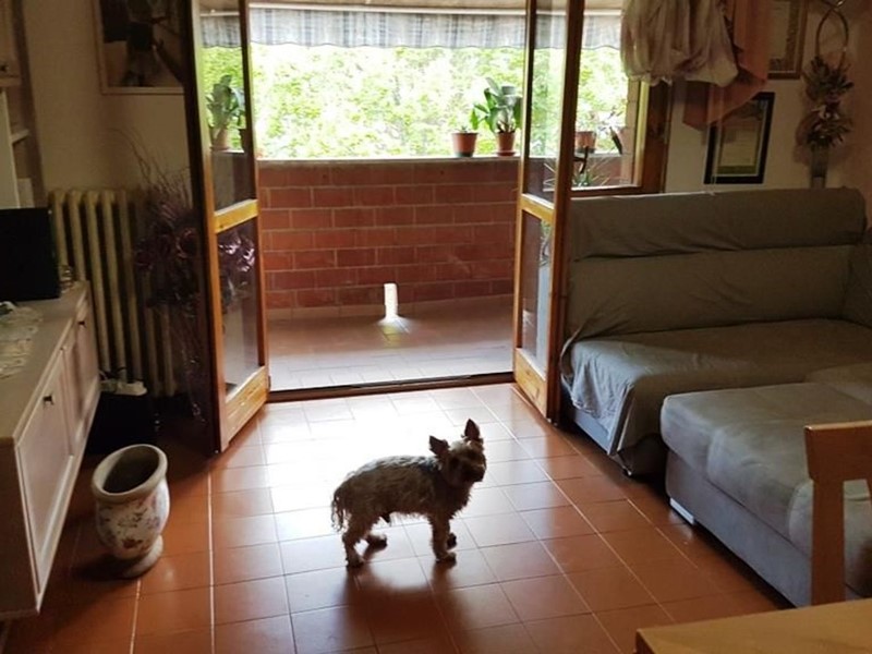 Quadrilocale in Vendita a Siena, 245'000€, 100 m², con Box