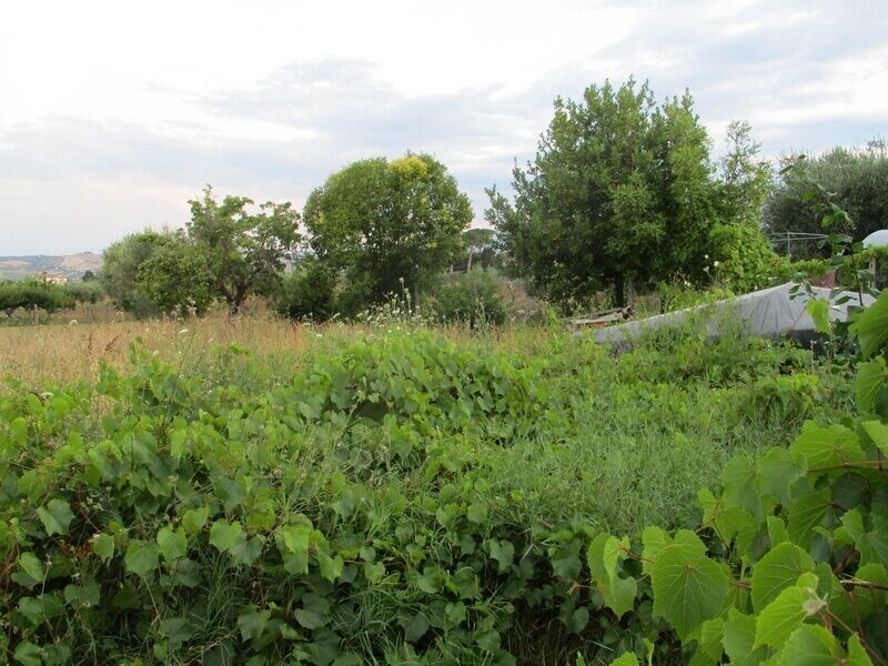 Terreno edificabile in Vendita a Giulianova, 99'000€, 720 m²