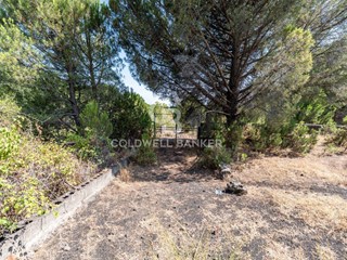 Terreno agricolo in Vendita a Nicolosi, 24'000€, 5683 m²