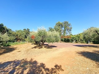 Terreno agricolo in Vendita a Aprilia, 50'000€, 10000 m²
