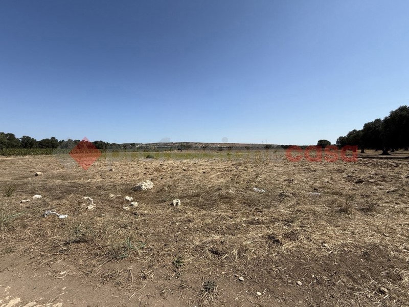 Terreno agricolo in Vendita a Faggiano, 8'000€, 6500 m²