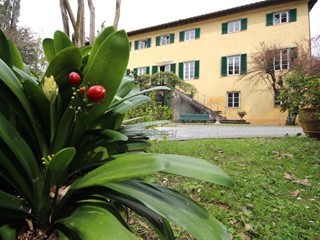 Villa in Vendita a Lucca, zona Nord, 3'000'000&euro;, 750 m²