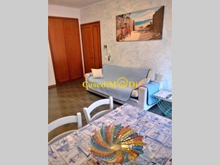 Bilocale in Affitto a Rosignano Marittimo, 700€, 55 m², arredato