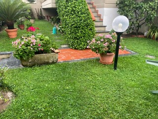 Villetta a schiera in Vendita a Carrara, zona Avenza, 370'000€, 200 m², arredato, con Box