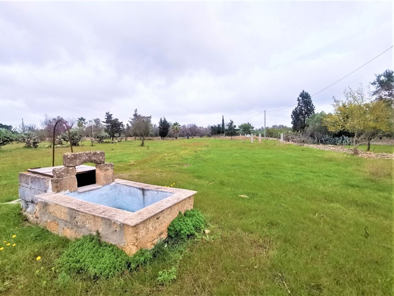 Terreno edificabile in Vendita a Gallipoli, 10'000&euro;, 5000 m²