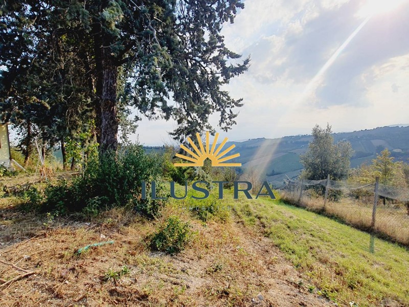 Terreno agricolo in Vendita a Offida, 230'000€, 74000 m²