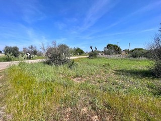 Terreno edificabile in Vendita a Sannicola, 130'000€, 35000 m²