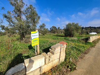 Terreno agricolo in Vendita a Tuglie, 15'000€, 3060 m²