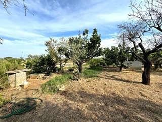 Terreno agricolo in Vendita a Gallipoli, 40'000&euro;, 14500 m²