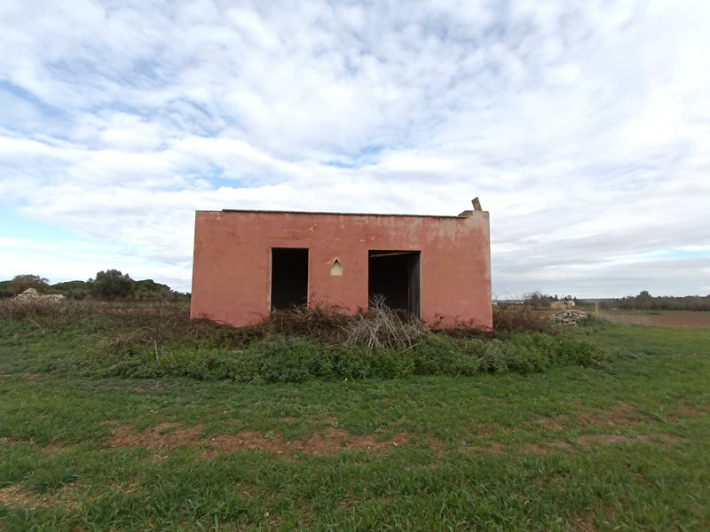 Terreno agricolo in Vendita a Alezio, 39'000€, 12500 m²