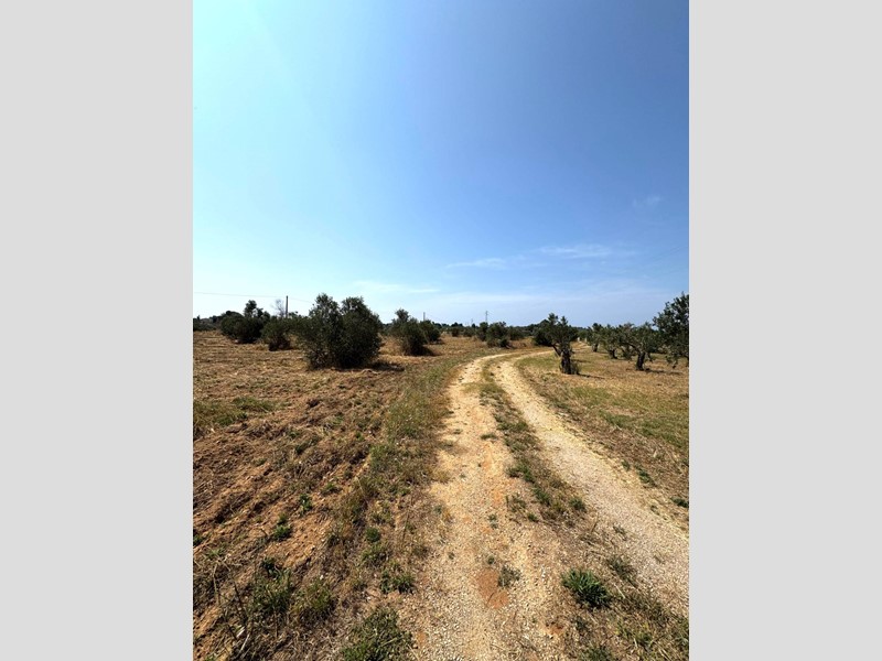 Terreno agricolo in Vendita a Sannicola, 60'000€, 13000 m²