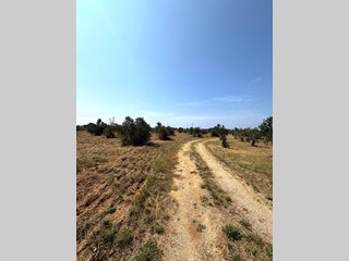 Terreno agricolo in Vendita a Sannicola, 60'000€, 13000 m²