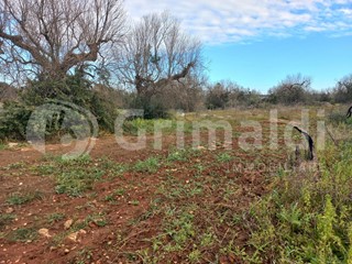 Terreno agricolo in Vendita a Presicce Acquarica, 45'000€, 20100 m²