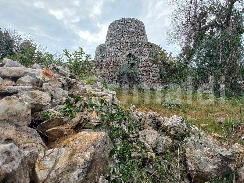 Terreno agricolo in Vendita a Presicce Acquarica, 45'000€, 20100 m²