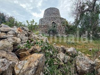 Terreno agricolo in Vendita a Presicce Acquarica, 45'000€, 20100 m²
