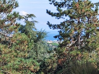 Appartamento in Vendita a Rapallo, zona Savagna, 259'000€, 80 m²