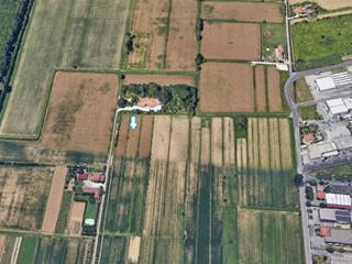 Terreno agricolo in Vendita a Massarosa, 36'386€, 8132 m²