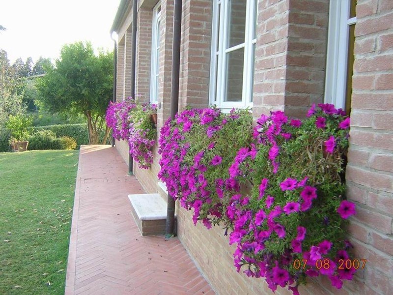 Appartamento in Affitto a Siena, 1'000€, 100 m², arredato