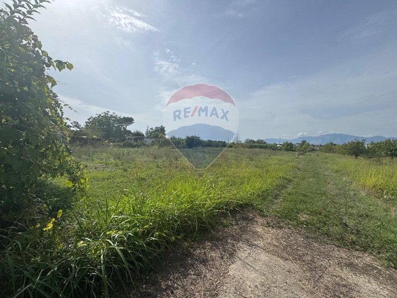 Terreno agricolo in Vendita a Cellole, 47'500€, 13552 m²