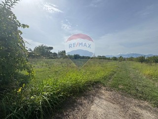 Terreno agricolo in Vendita a Cellole, 47'500€, 13552 m²